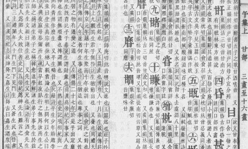 板蓝根含片是含还是吞-板蓝根药片-板蓝根片剂,中国板蓝根含片的功效和禁忌网站